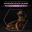 3 kg Pro Plan Adult Small y Mini Pollo pienso para perros Sénior +9, , large indicador imagen numero 8