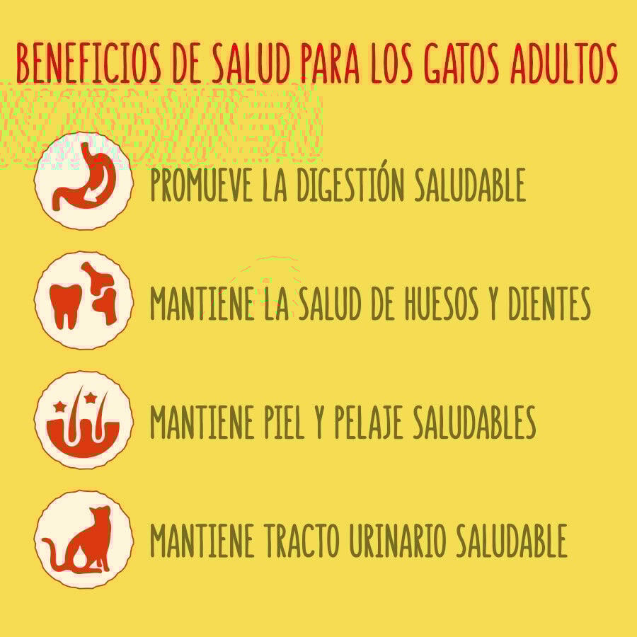 Friskies Adult Buey con Pollo y Verduras pienso para gatos thumbnail