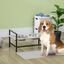 PawHut Comedero Elevado para Perros Altura Ajustable Cuencos para Perros con 2 Tazones 1100ml de Acero Inoxidable Tapete y Alimentador Lento 60x33x10-31,5 cm Gris, , large indicador imagen numero 2