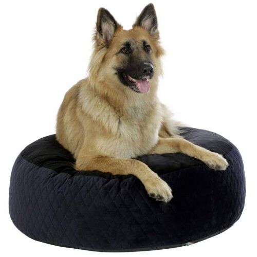 Cama de estilo puf para perros color Negro y Azul, , large Imagen numero 2