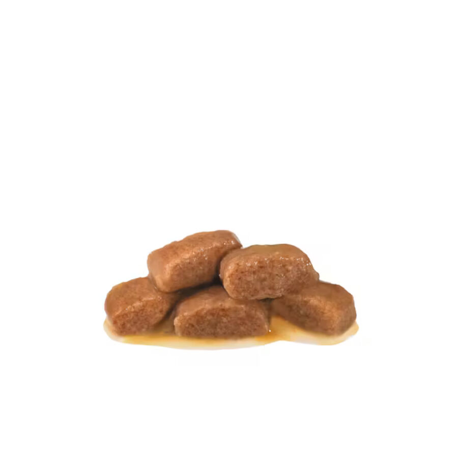 12 sobres x 85 g Royal Canin Mature Consult L&aacute;minas en Salsa Sobre para gatos, , large Imagen numero 2