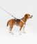 CAFIDE Correa PET Reciclado Juno, , large indicador imagen numero 2