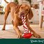 Wonder Christmas Hueso con Cuerda Juguete para perros, , large indicador imagen numero 2