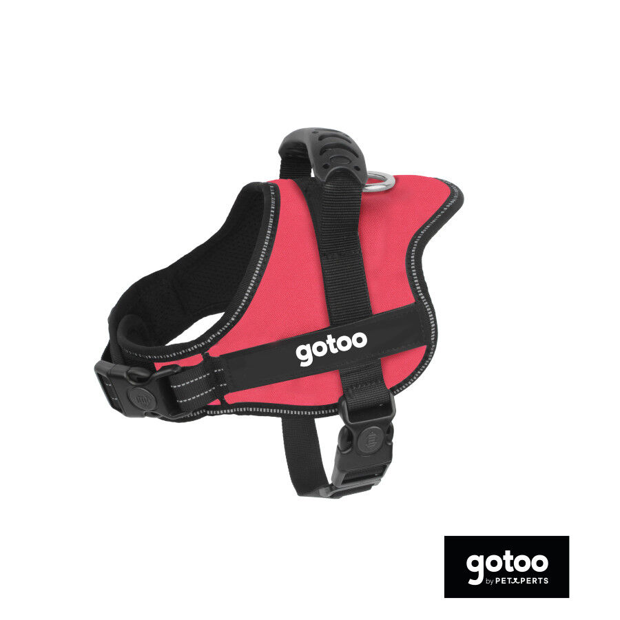 Gotoo Arn&eacute;s antitirones rojo para perros, , large Imagen numero 2