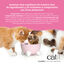 Mousse de Pollo para Gatito Junior Cuisine Kitten, 90 g, , large indicador imagen numero 4