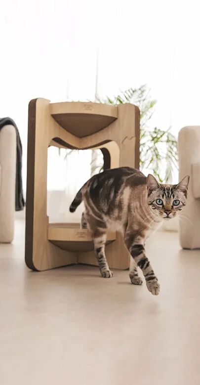Althea Living - Rascador torre para gatos, cartón corrugado, 2 alturas, reversible thumbnail