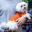 Jersey Nun Freeze para perros color Naranja, , large indicador imagen numero 2