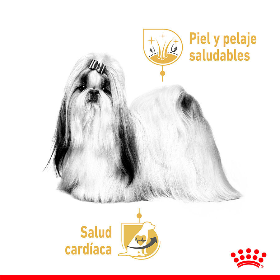 Royal Canin Adult Shih Tzu Paté sobre para perros thumbnail