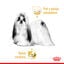 85 g Royal Canin Adult Shih Tzu Paté sobre para perros, , large indicador imagen numero 5
