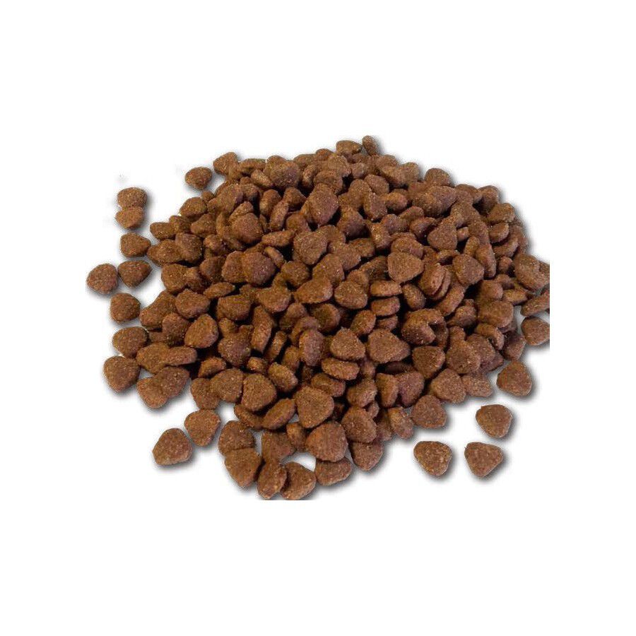 Pienso para perros Farm Nature Adult sabor salm&oacute;n, , large Imagen numero 3