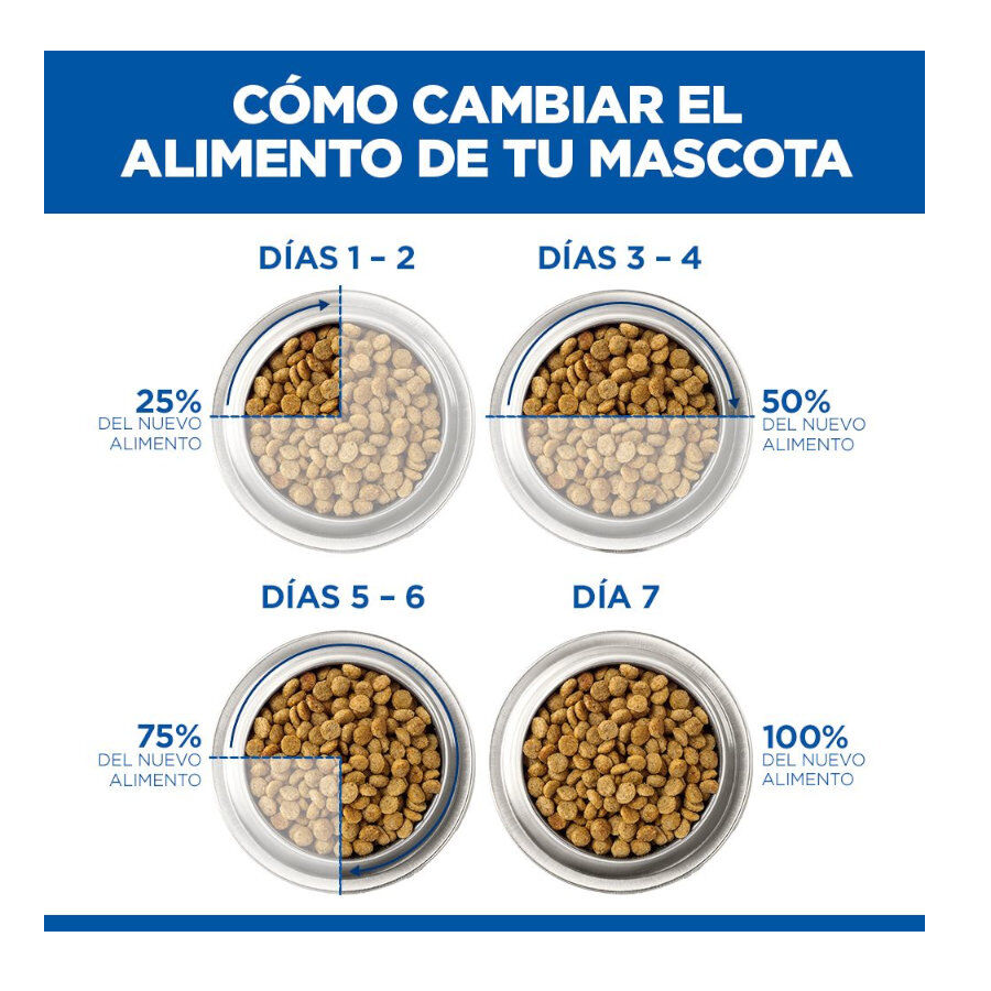 2.5 kg Hill's Science Plan Perfect Digestion Adult Medium Pollo pienso para perros, , large Imagen numero 7