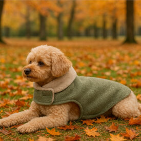 Outech Abrigo Brandy para perros