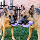 Kong Ogee Curvas Mordedor para perros, , large image number null