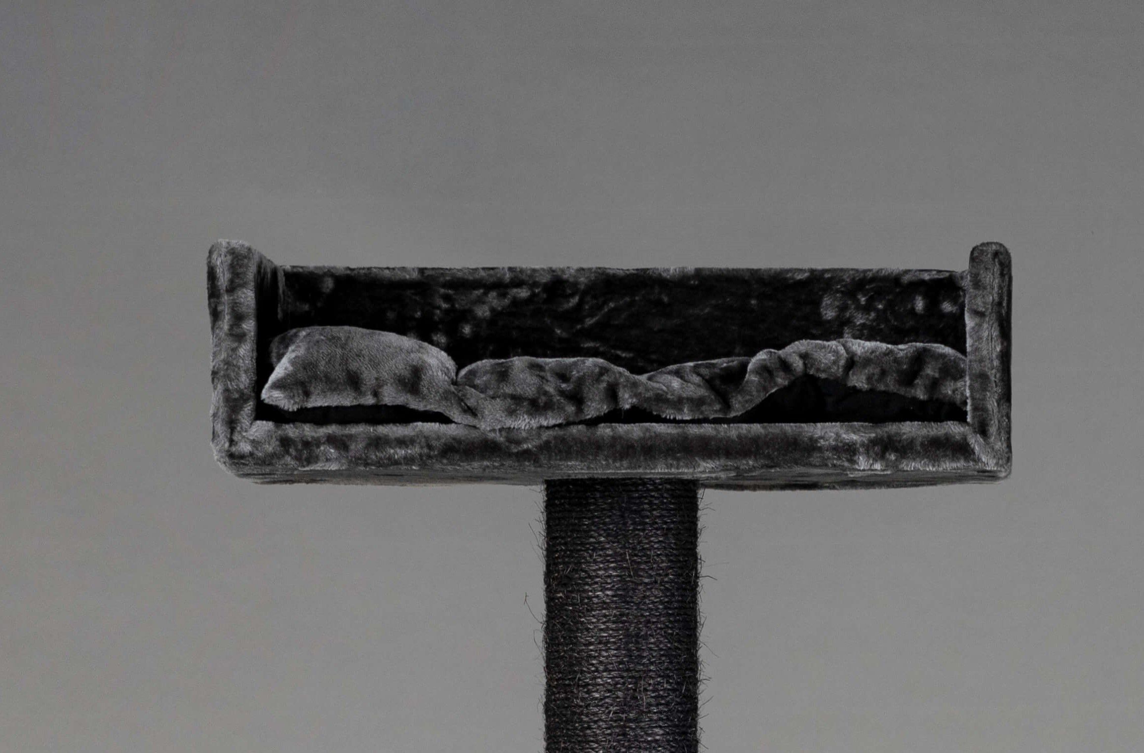 Rascador Kilimandjaro color Gris oscuro, , large Imagen numero 2