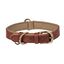 La Casa de Turrón - Collar para perros modelo Elegance - Estilo y Comodidad en Cuero Sintético, , large indicador imagen numero 1