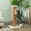 PawHut Rascador para Gatos Beige, , large indicador imagen numero 2