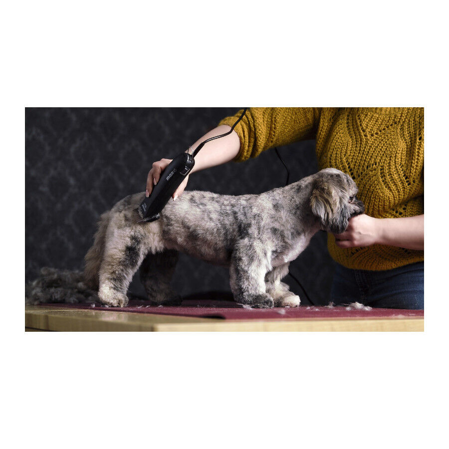 Maquina moser max online 45 para perros