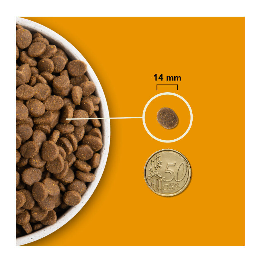 11.4 kg Acana Wild Prairie pienso para perros, , large Imagen numero 3