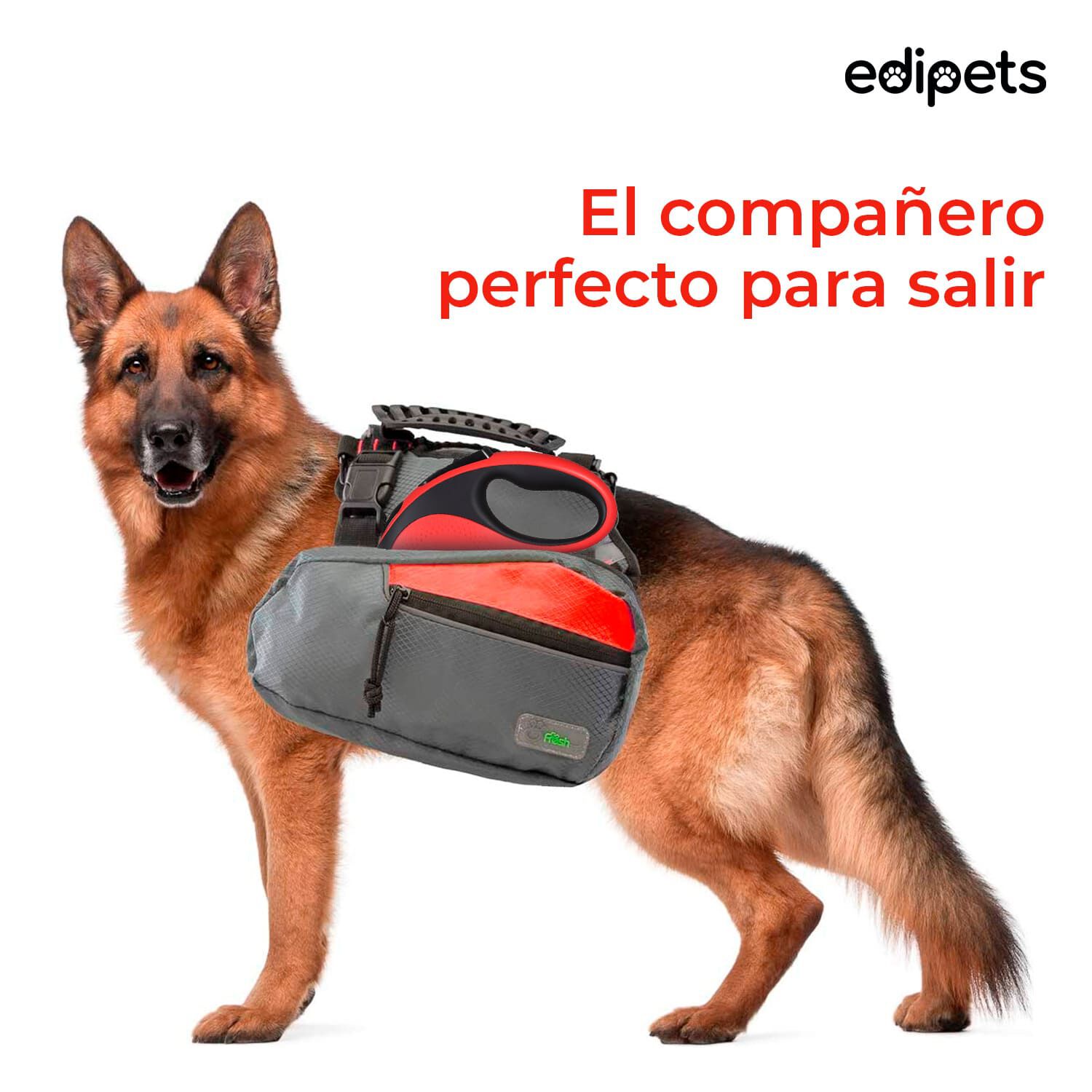 Edipets correa extensible con sistema de frenado rojo para perros, , large Imagen numero 2