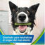 5 barritas Dentalife Snacks Dentales Medium ActivFresh para perros, , large indicador imagen numero 5