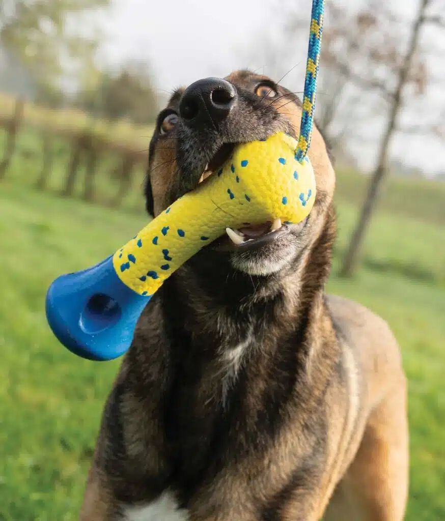 Zeus Nitro&trade; Boya Lastrada , 26cm, , large Imagen numero 5