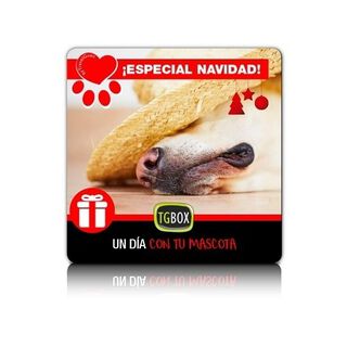 Tgbox un día con tu mascota especial Navidad