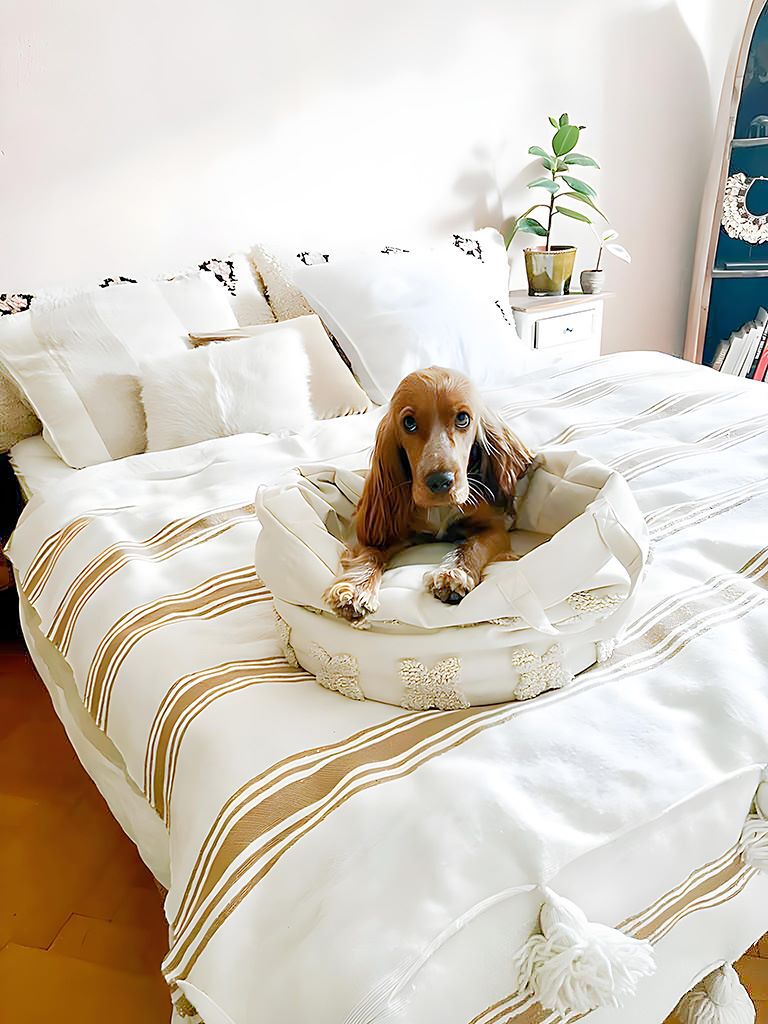 Pet and Co Cesta Feudal Flores Rosa Louis - Perros, , large Imagen numero 4