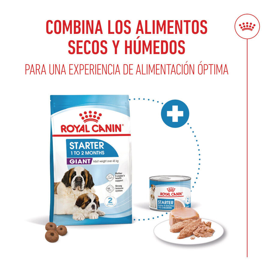 15 kg Royal Canin Starter Puppy Giant Pienso para perros, , large Imagen numero 6