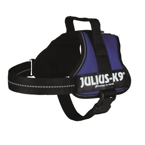 Julius K-9 arn&eacute;s de fuerza morado para perros, , large Imagen numero 2