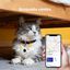 Pawview Localizador Inteligente para Mascotas, Rastreador Perros y Gatos Compatible con Apple Find My y Android Find Hub, Funda de Silicona Antidesgarros con C&oacute;digo QR, Sin Suscripci&oacute;n. Turquesa Claro, , large indicador imagen numero 5