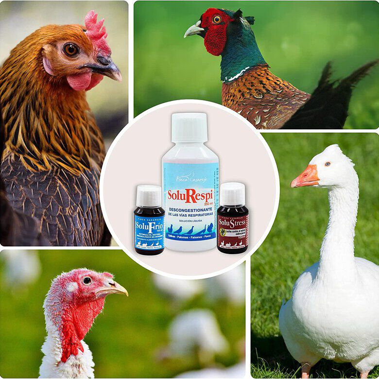 Finca casarejo pack contra el resfriado de productos naturales para aves, , large Imagen numero 3