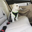 Arnés con cinturón de coche para perros ajustable Yatek, apto para la mayoría de vehículos, material resistente, talla L, , large indicador imagen numero 8