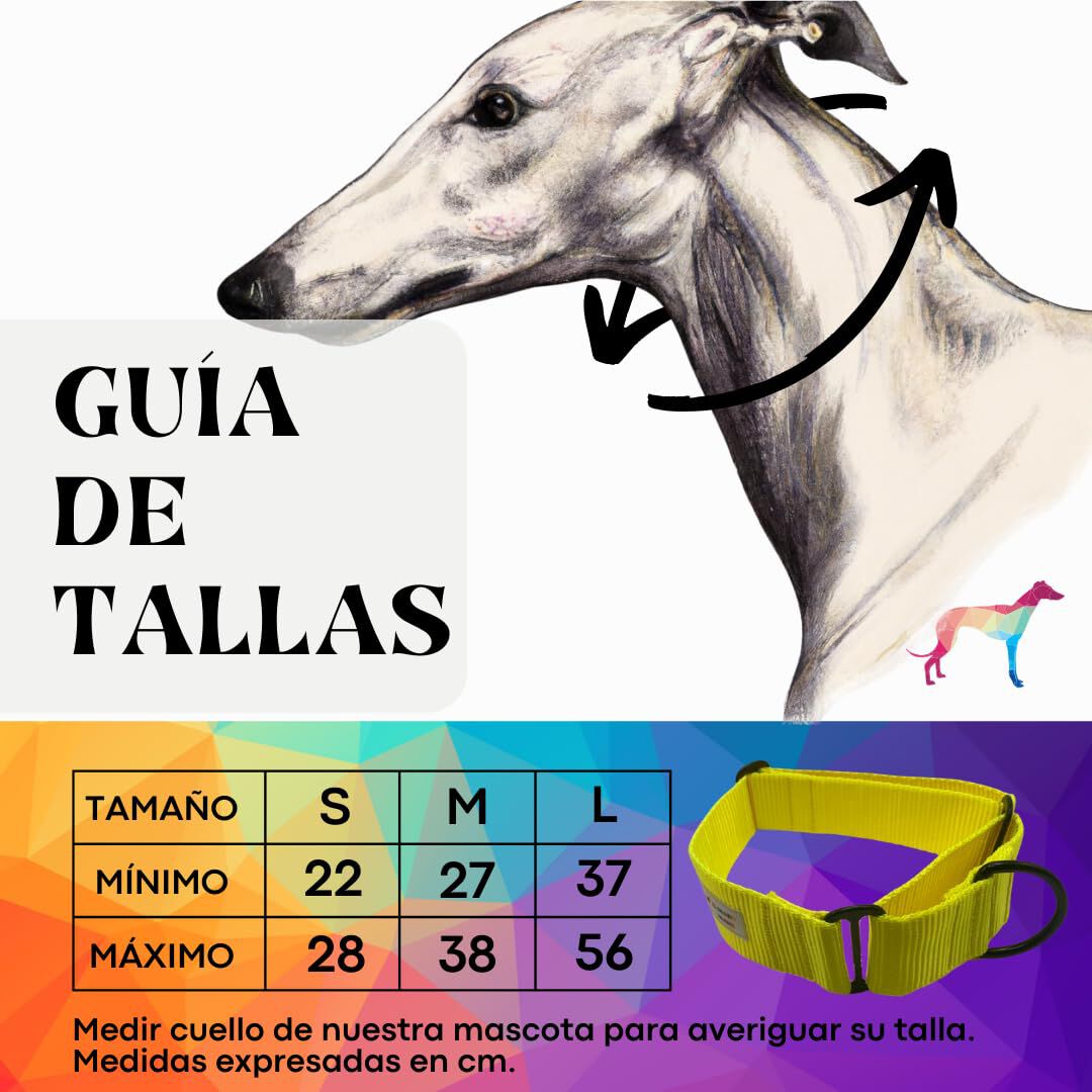 EGV - Collar Martingale. Collar galgo hecho a mano en Espa&ntilde;a (Amarillo), , large Imagen numero 3