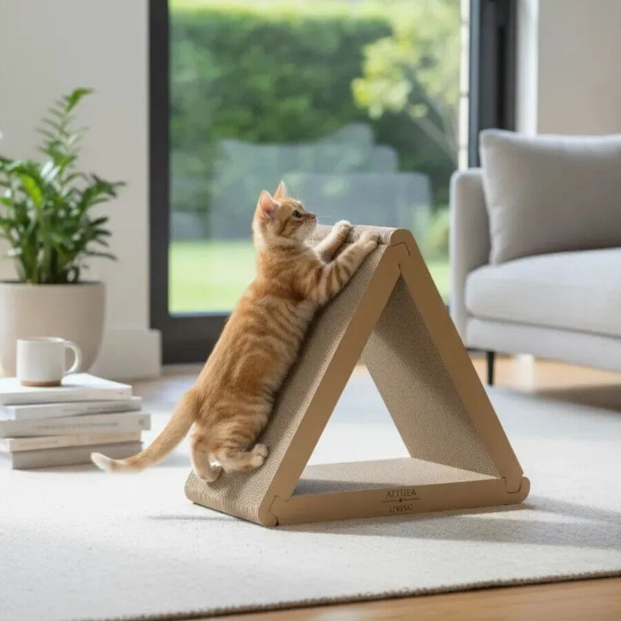 Althea Living - Rascador de cart&oacute;n para gatos Balandra, plegable, 6&nbsp;superficies&nbsp;de rascado, , large Imagen numero 5