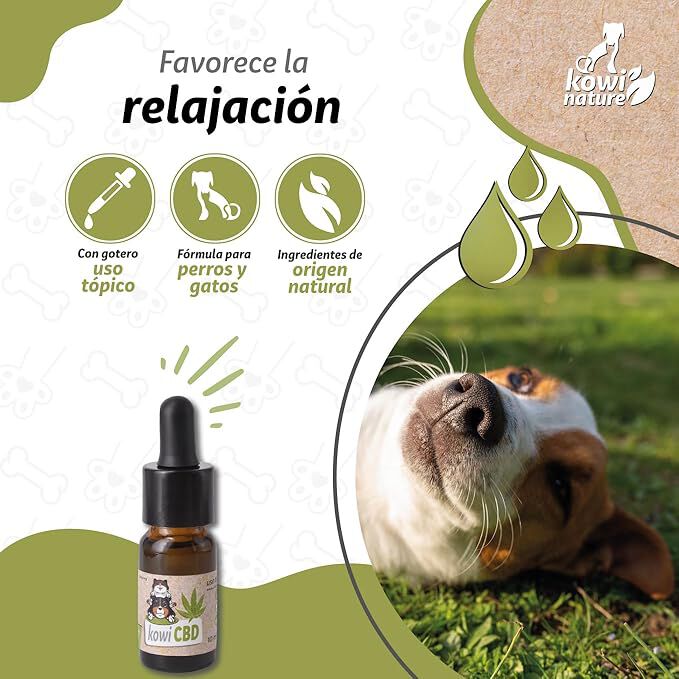 Kowi Nature CBD 5 % para perros y gatos thumbnail