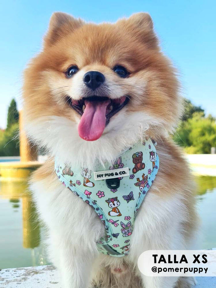 Arn&eacute;s Ajustable Lovely Forest, , large Imagen numero 20