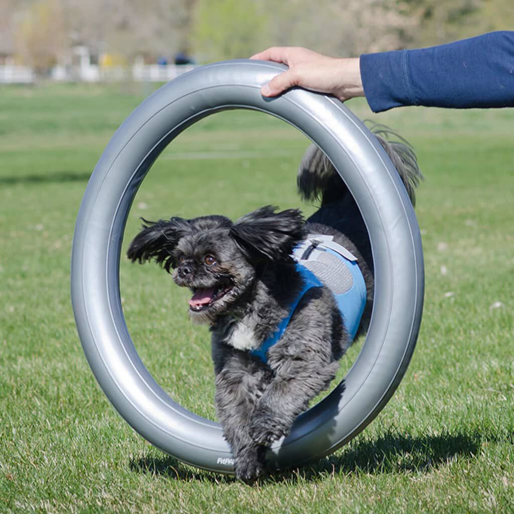 FitPAWS Soporte para donut gris 63 cm, , large Imagen numero 4