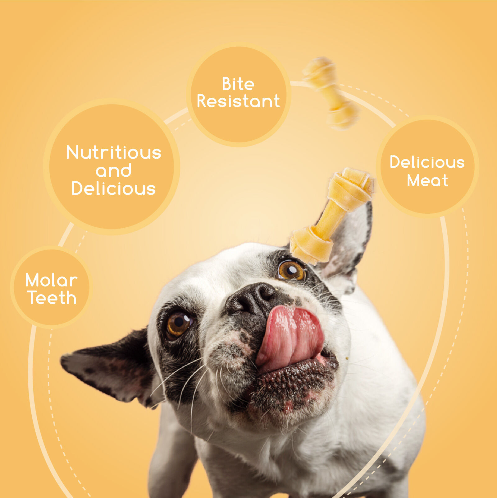 Nobleza - Hueso Anudado para Perros, Piel Vacuno Fortalecedor de Dientes Stick Dental Dog Snack, Hueso masticable para perros 18PCS ( 6.4 cm/2.5 Inches ), , large Imagen numero 4