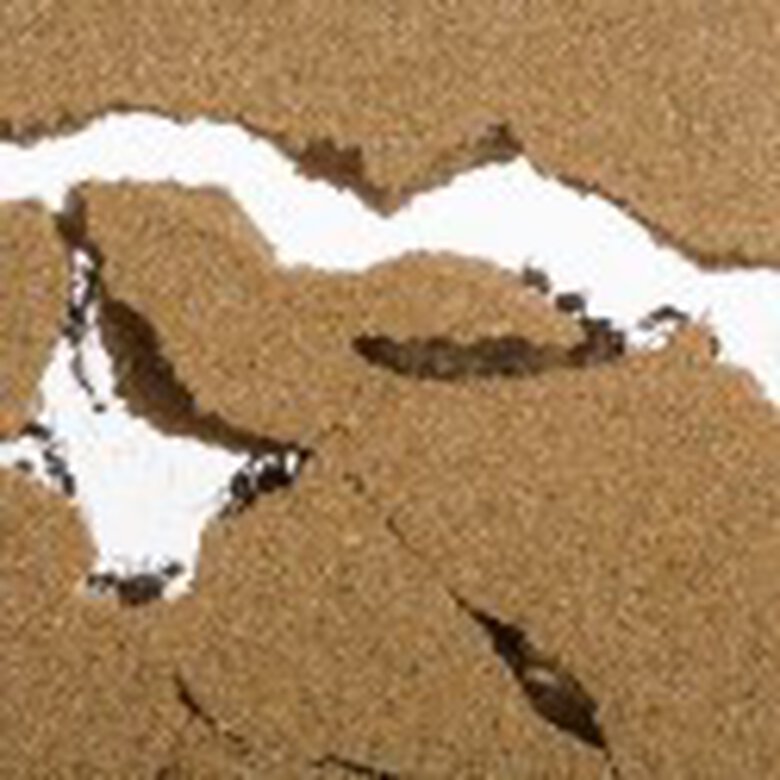Hormiguero Anthouse de acrílico con caja de forrajeo, , large image number null