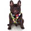 Zooz arn&eacute;s snoopy acolchado para perros, , large indicador imagen numero 1