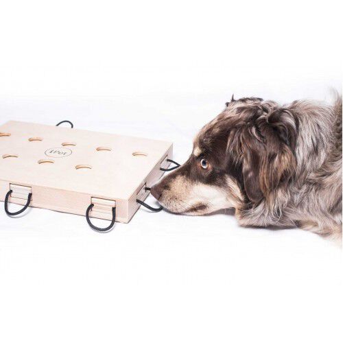 Juego de inteligencia para perros Flower thumbnail