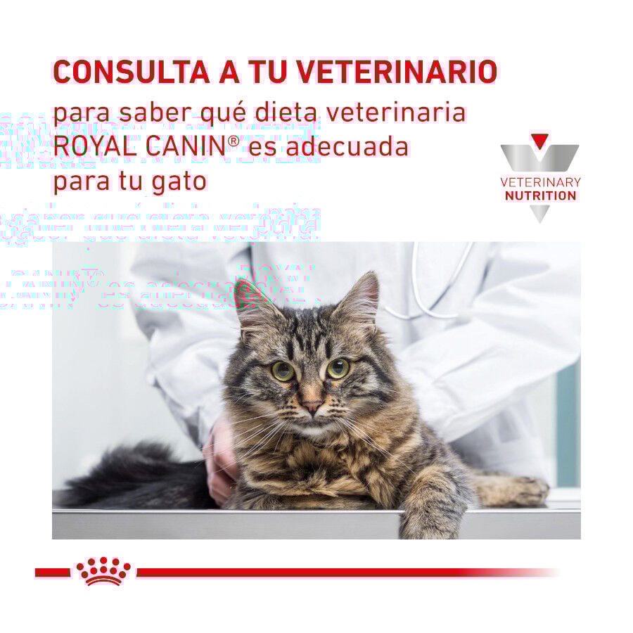 Royal Canin Veterinary Mobility pienso para gatos thumbnail