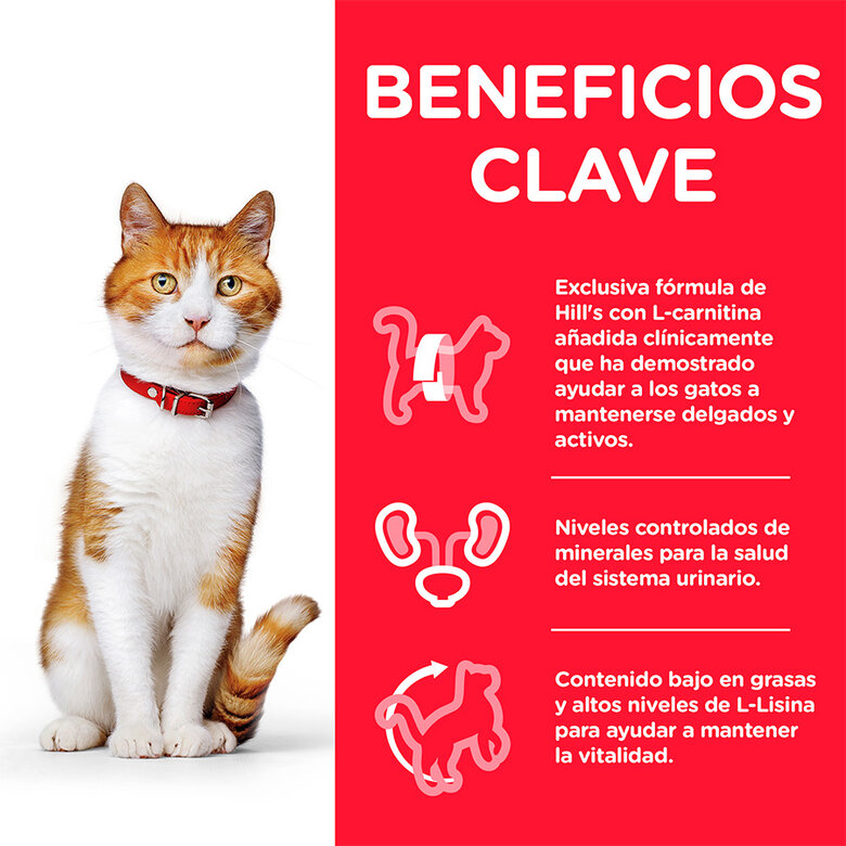 Hill's Young Adult Science Plan Sterilized Pollo sobre para gatos, , large image number null