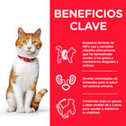 Hill's Young Adult Science Plan Sterilized Pollo sobre para gatos, , large image number null