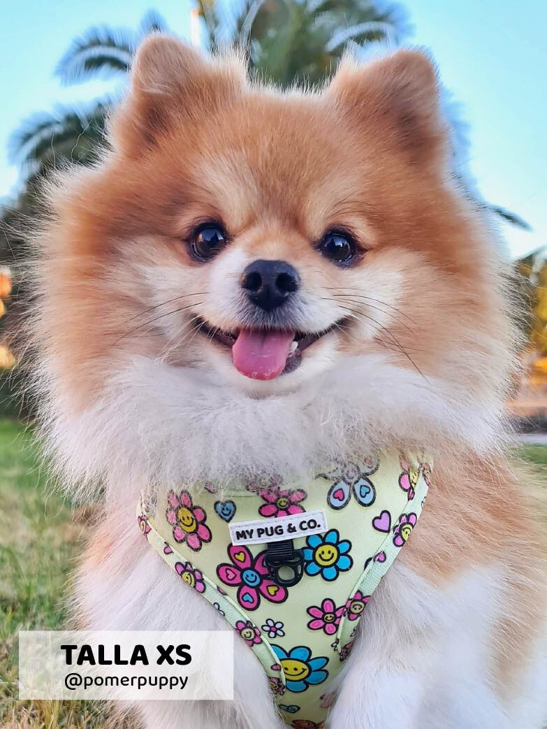 Arn&eacute;s Ajustable Happy Flowers, , large Imagen numero 3