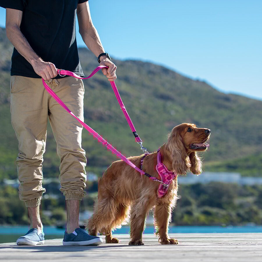 Rogz arn&eacute;s de control rosa para perros, , large Imagen numero 2