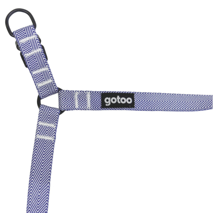 Gotoo Arn&eacute;s estampado rayas azules para perros, , large Imagen numero 4