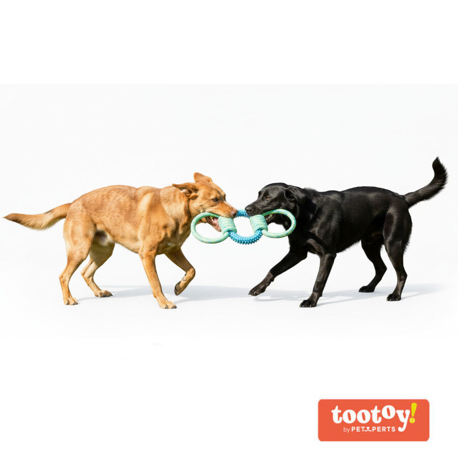 Tootoy! Mordedor de Cuerda y Goma Triple para perros, , large Imagen numero 7