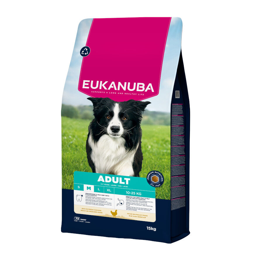Eukanuba Adult Medium Pollo pienso para perros thumbnail