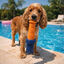 Summer Vibes Faro Flotante Mordedor Juguete para perros, , large indicador imagen numero 1